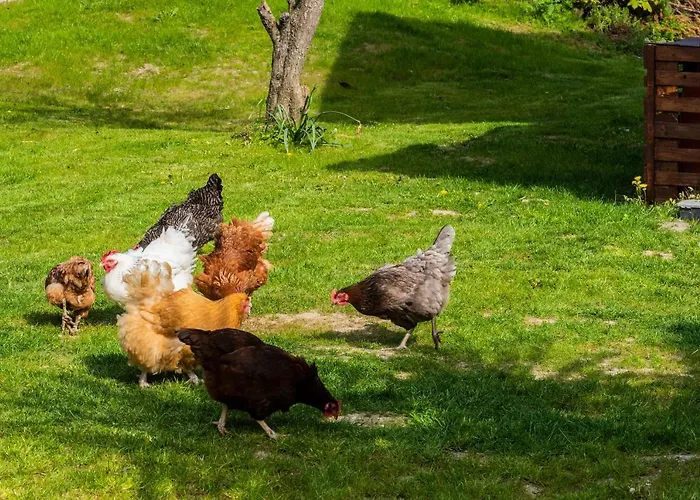 Mount Barker Pensión Swords